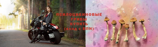 наркотики Новодвинск