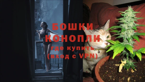 спайс Нягань